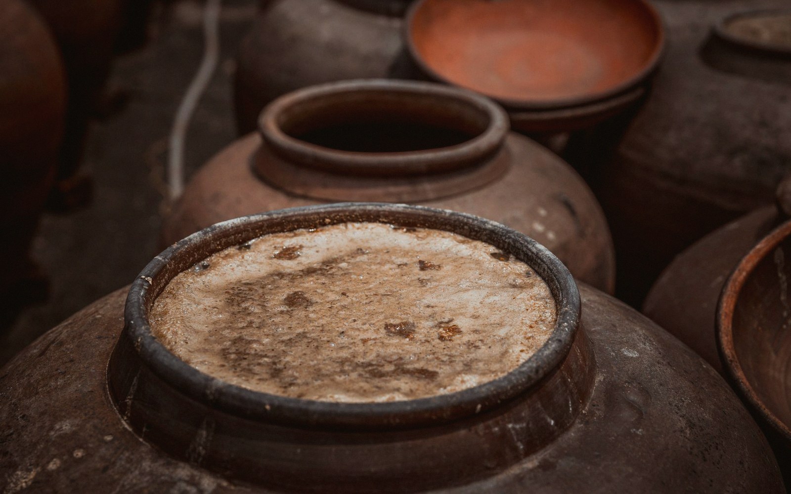 Large clay fermentation vessels with dried residue crusted around the rim