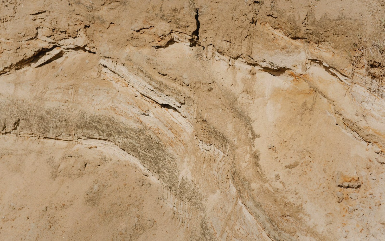 Curved sedimentary layers form wavy bands across a sandy rock face